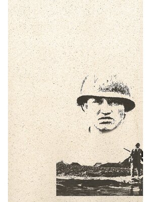 cover image of 沖縄戦米兵は何を見たか